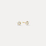 Small Solitaire Star Studs