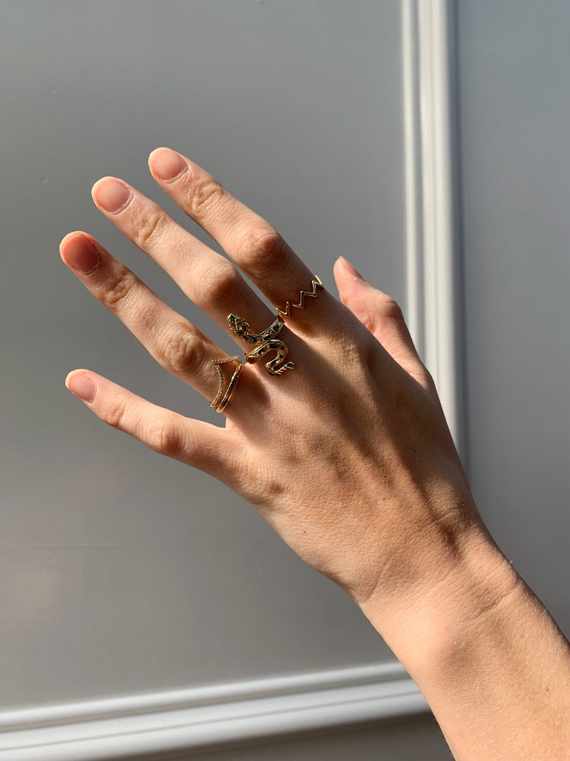 THE ZIG ZAG BAND