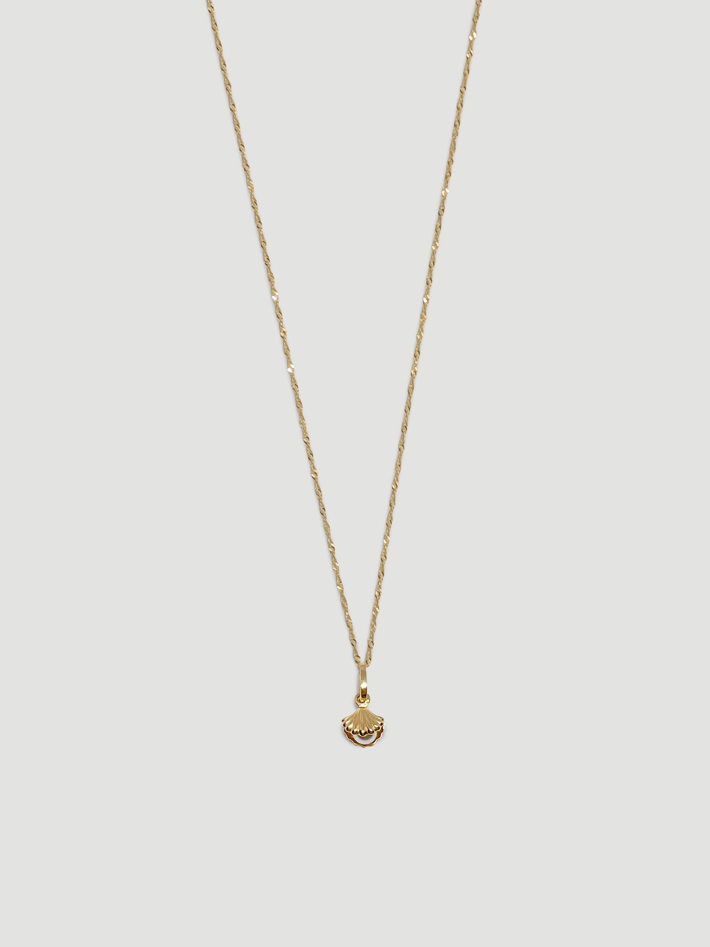 alliciante 14k gold pearl in sea shell pendant necklace